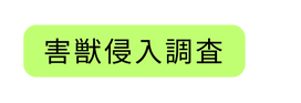 害獣侵入調査